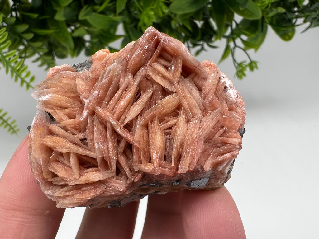 Wonderful Baryte with Cerussite on Galena from Morocco,Crystal, Mineral,Specimen,Cluster,Crystals,Barite Crystal,Cerussite Crystal,Specimen