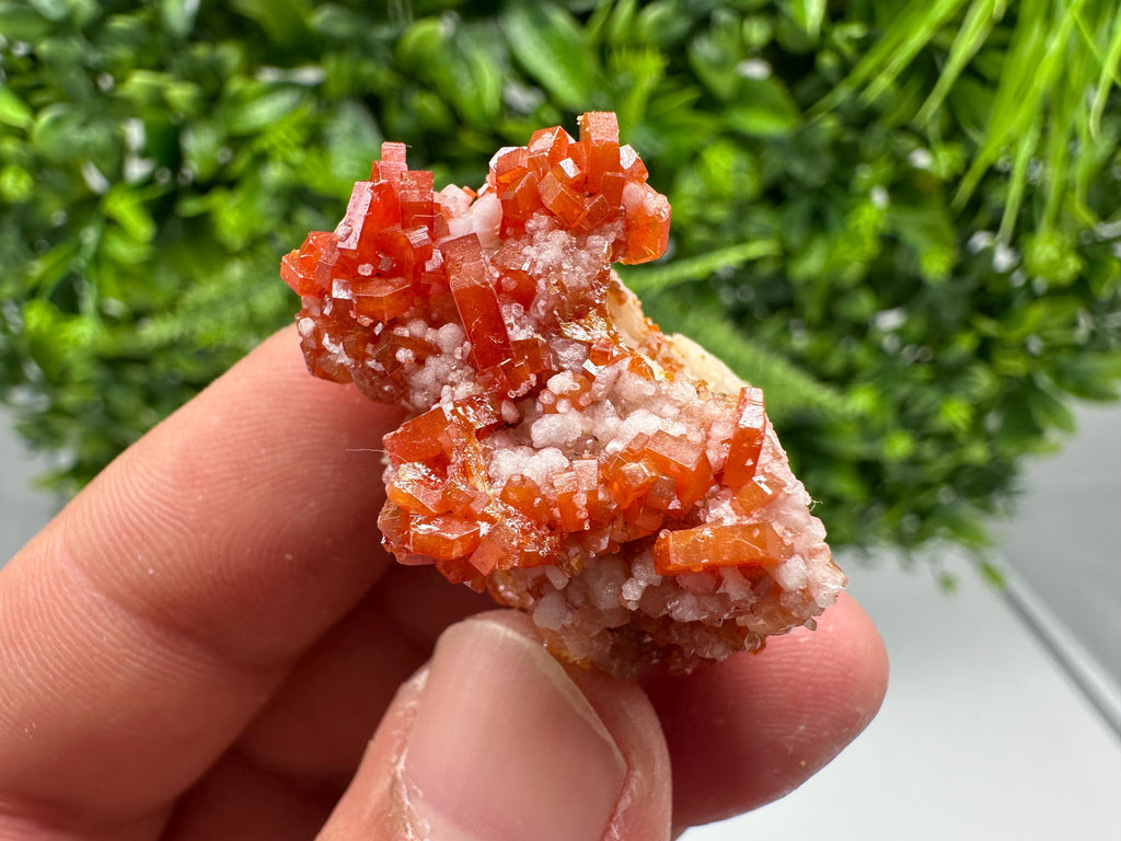 Red Vanadinite on Barite from Marocco,crystal minerals Speciment cluster Vanadinite crystal Vanadinite Geology Vanadinite cluster minerals