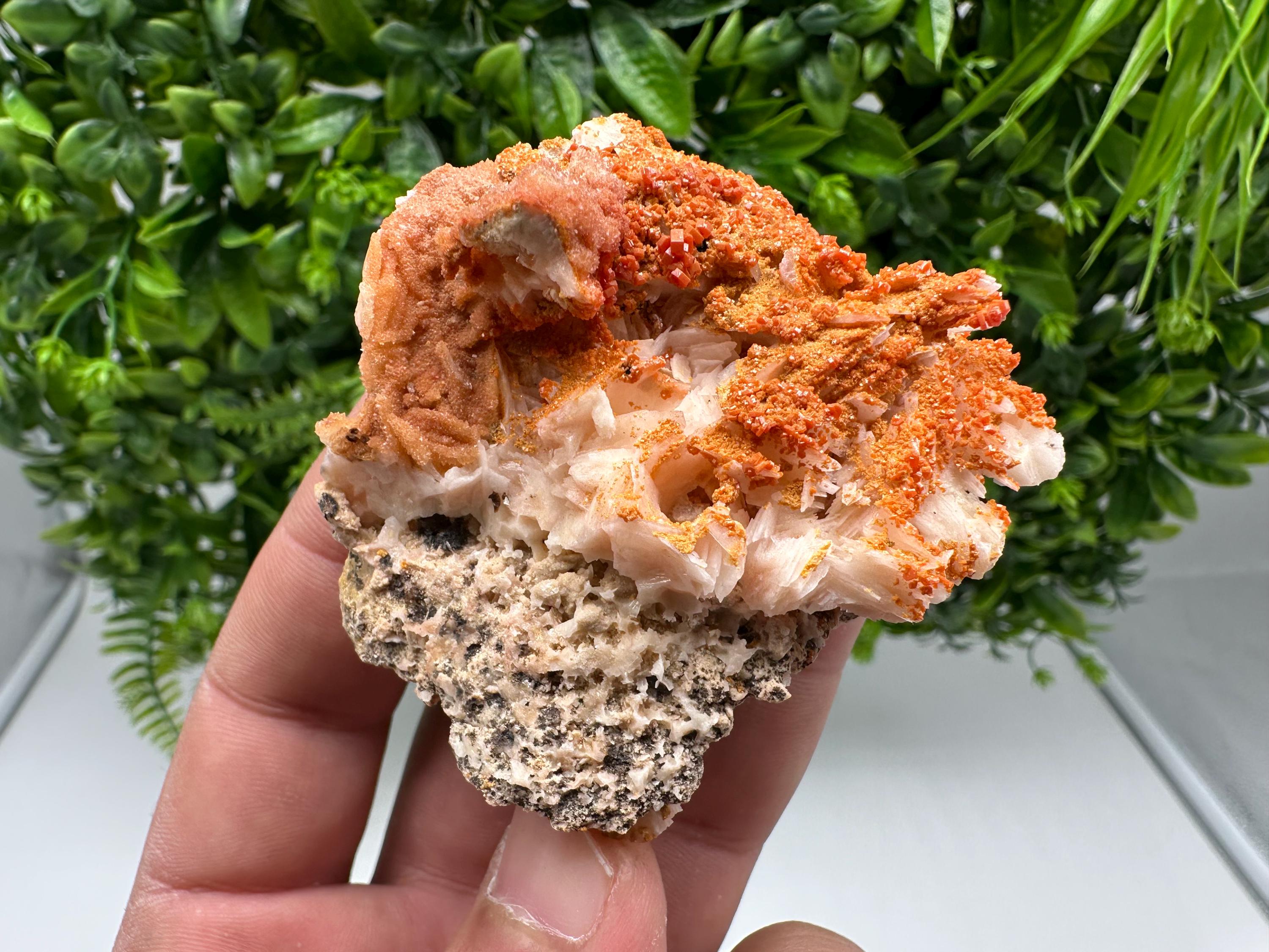 Red Vanadinite on Barite from Marocco,crystal minerals Speciment cluster Vanadinite crystal Vanadinite Geology Vanadinite cluster minerals