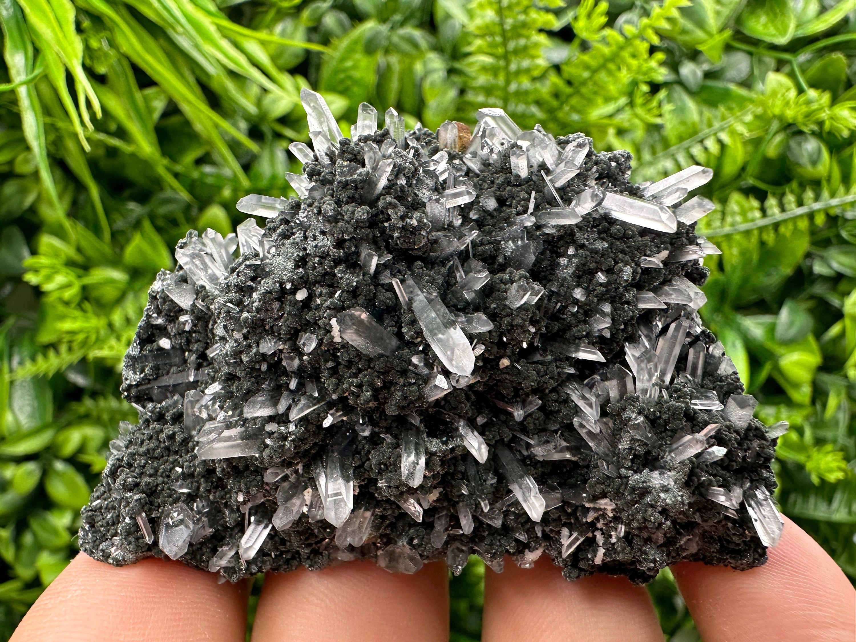 Chlorite Quartz Crystal: Iron Oxide Mineral Specimen, Borieva Bulgaria