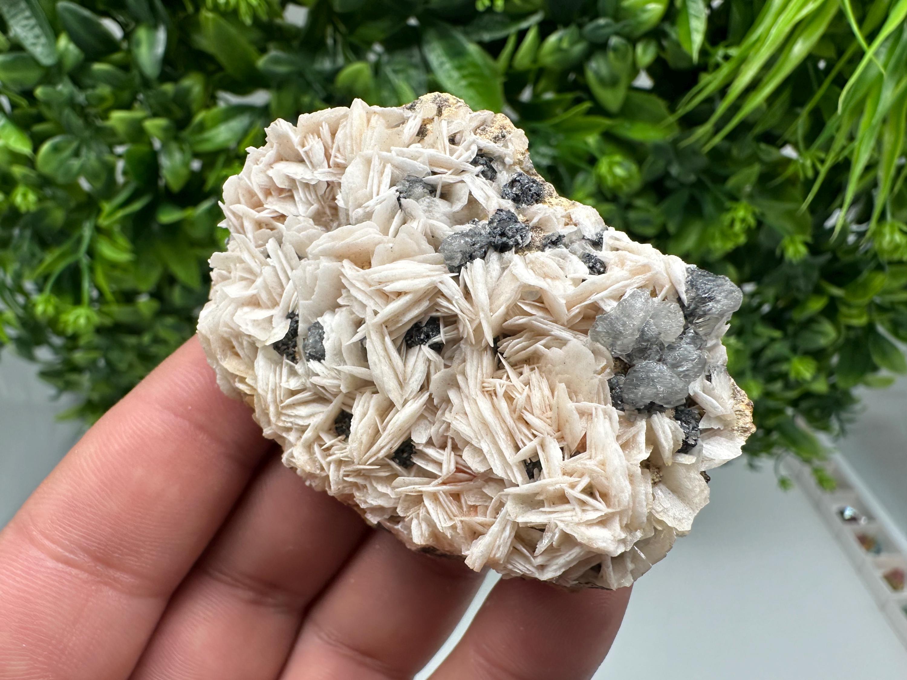 Wonderful Baryte with Cerussite on Galena from Morocco,Crystal, Mineral,Specimen,Cluster,Crystals,Barite Crystal,Cerussite Crystal,Specimen