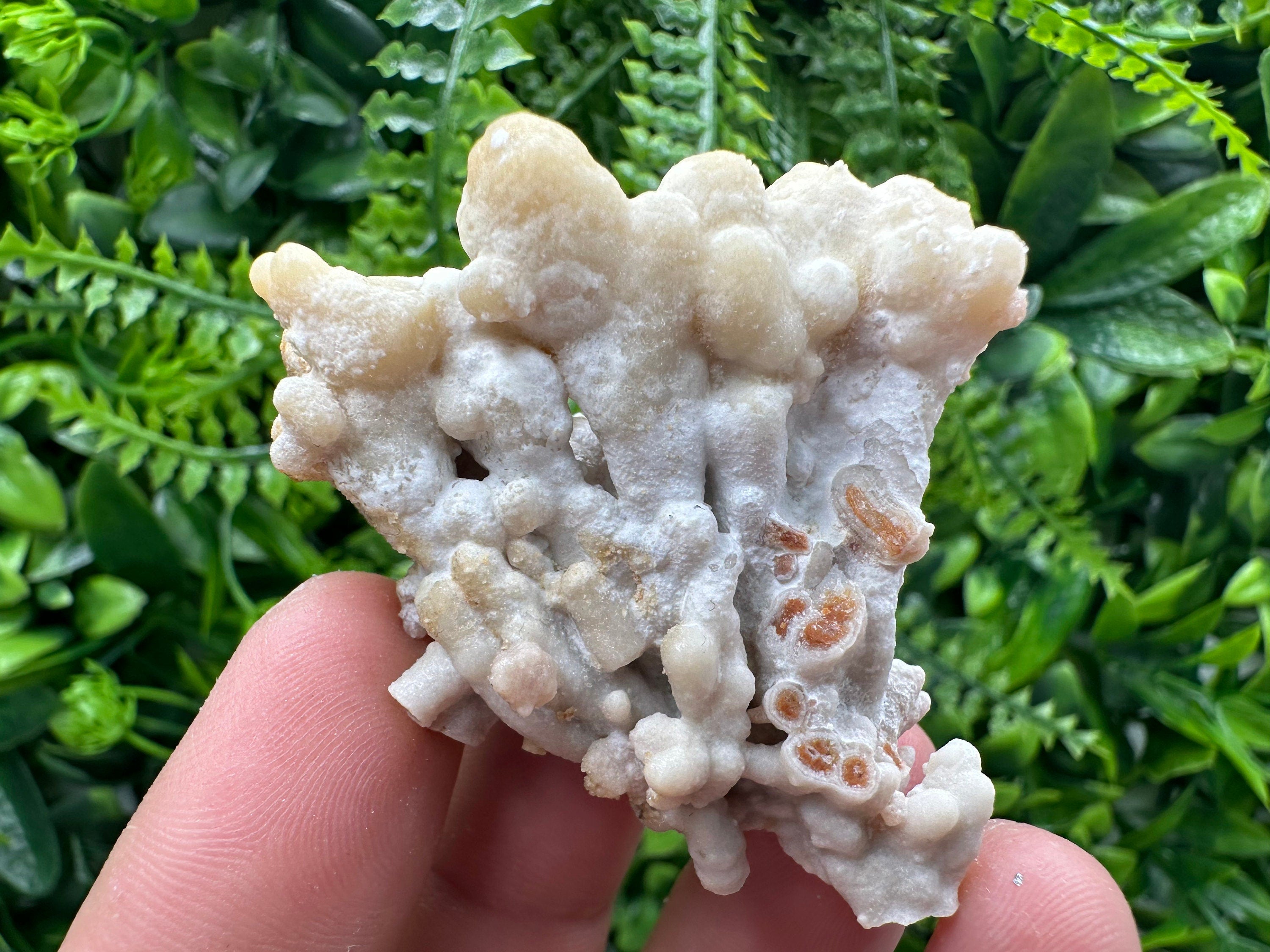 Aragonite Cluster, Natural Mineral Specimen, Bulgaria Crystal