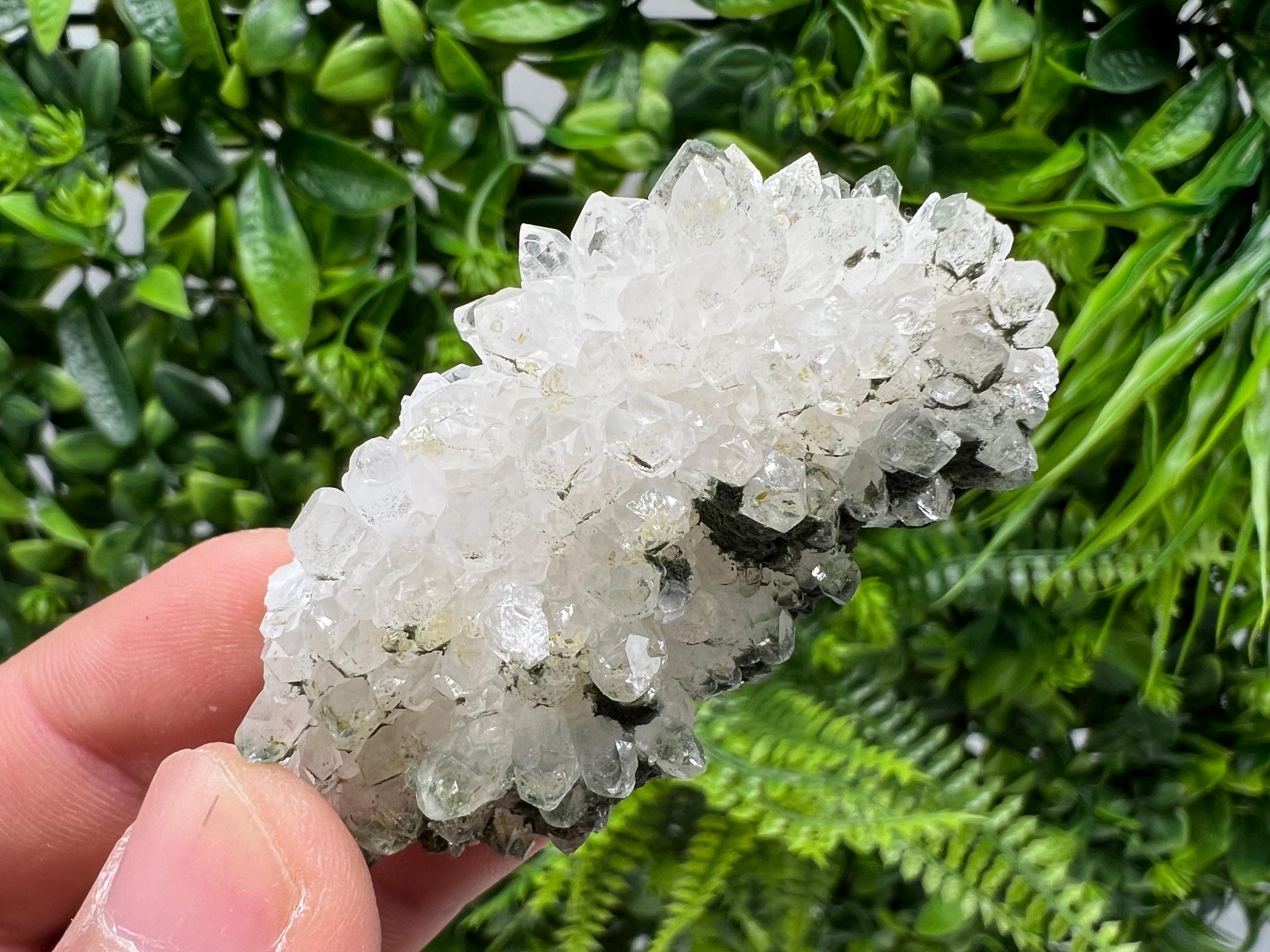 Transparent Quartz on Chlorite Matrix, Borieva Mine Mineral Specimen