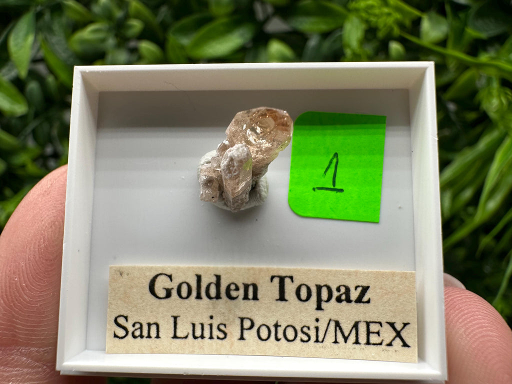 Golden Topaz Crystal, Mineral Specimen from Mexico
