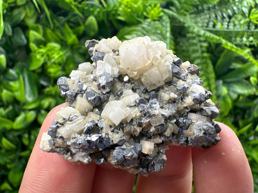 Galena Chalcopyrite on Calcite, Borieva Mine, Bulgaria