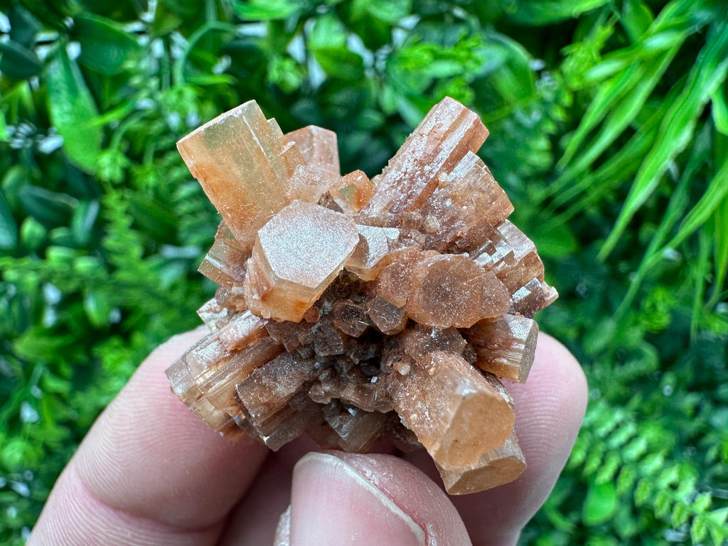 Moroccan Aragonite Sputnik Cluster: Raw Crystal Stone Decor