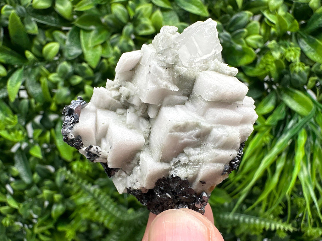 Stunning Shpinel Galena on Sphalerite,Calcite from Borieva mine,Madan,Bulgaria,Natural,collectible mineral specimen,home decor,collectible’s