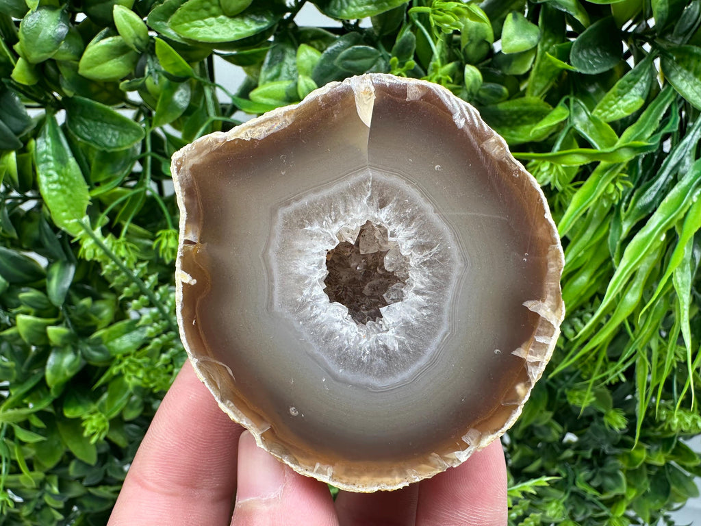 Natural Agate Druzy Geode: Quartz Crystal, 264 grams