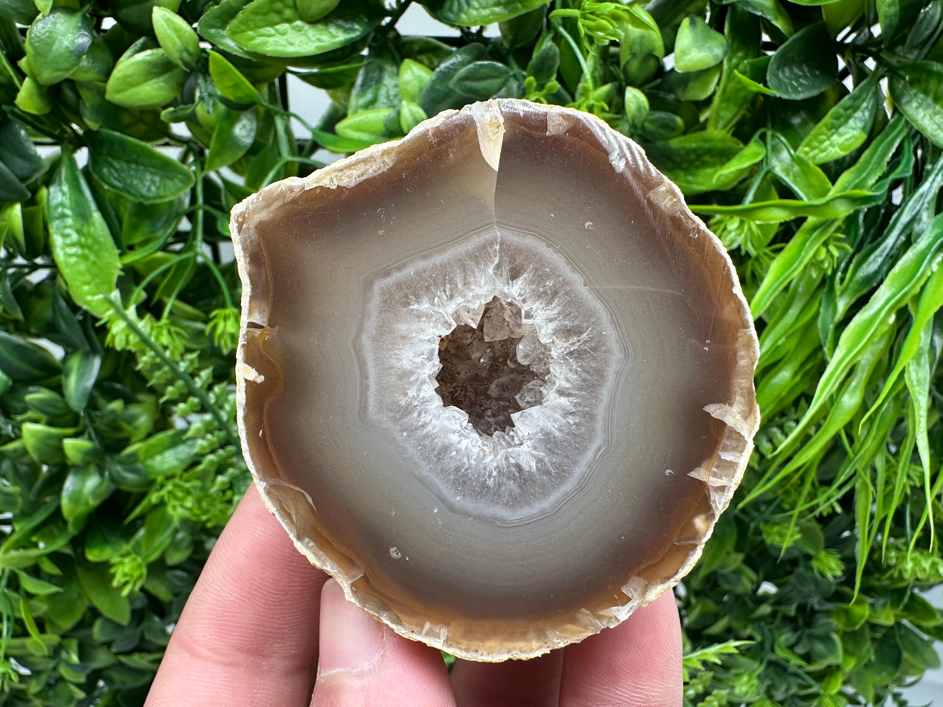 Natural Agate Druzy Geode: Quartz Crystal, 264 grams