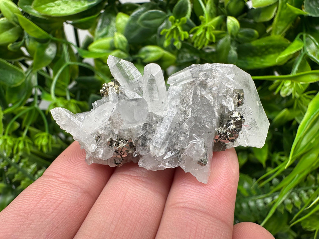 Pyrite on Green Quartz Mineral Specimen, Borieva Mine Bulgaria