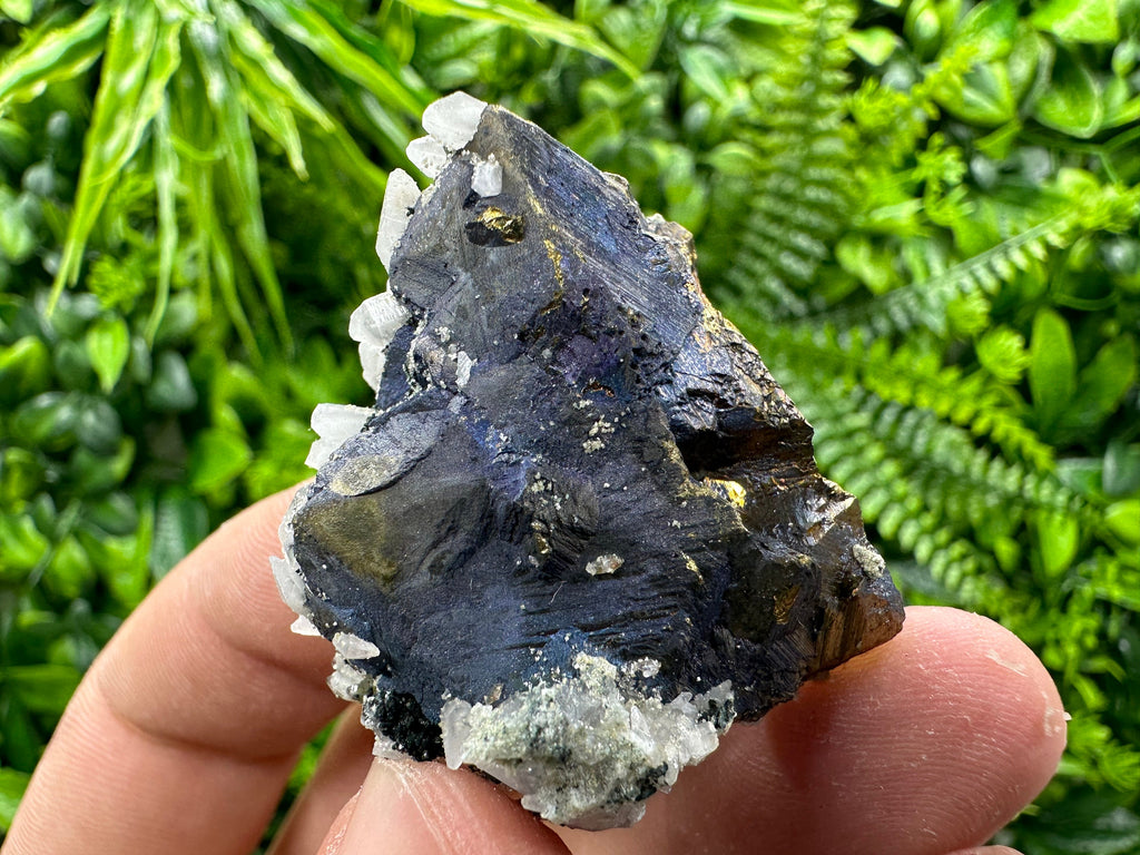 Chalcopyrite Borinite Covelline Mineral Specimen: Djurcovo Mine, Bulgaria