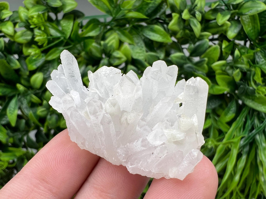 Wonderful Transparent Quartz on Chlorite Matrix,From Borieva mine,Madan,Bulgaria,Quartz,Quartz crystal,mineral specimen,collection quartz