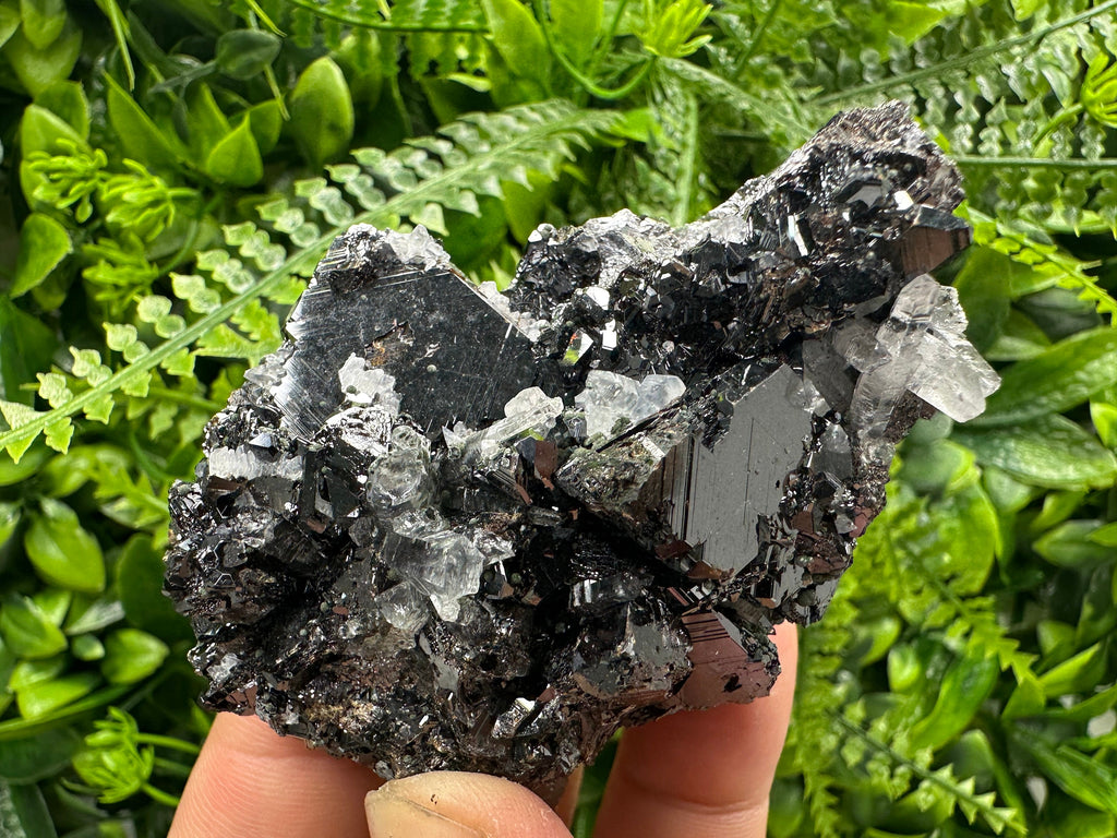 Borieva Sphalerite on Quartz: Rare Mineral Cluster