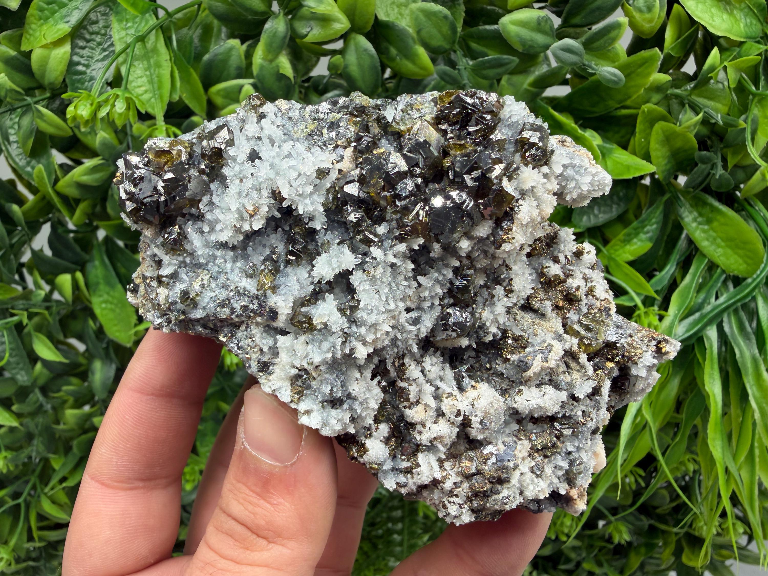 Stunning Gems Sphalerite Cleiopfane on Quartz from Krushev dol mine,Madan,Bulgaria,natural,collectible mineral specimen,home decor stone