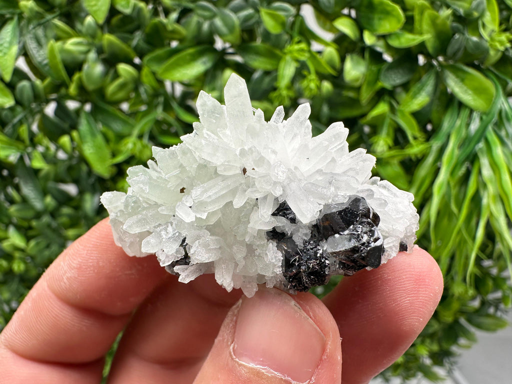 Sphalerite on Quartz, Bulgaria Mineral Specimen, Home Decor Crystal