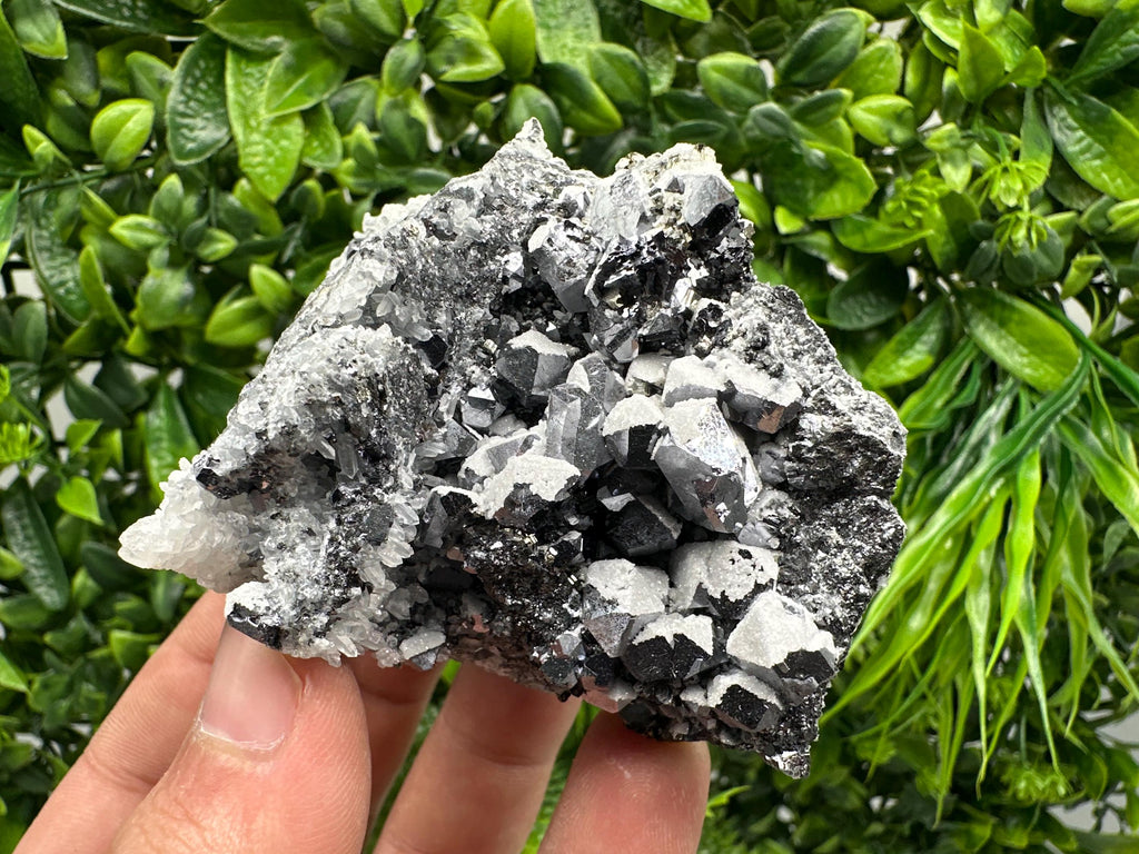Skeletal Galena Mineral Specimen, Drujba Mine Bulgaria