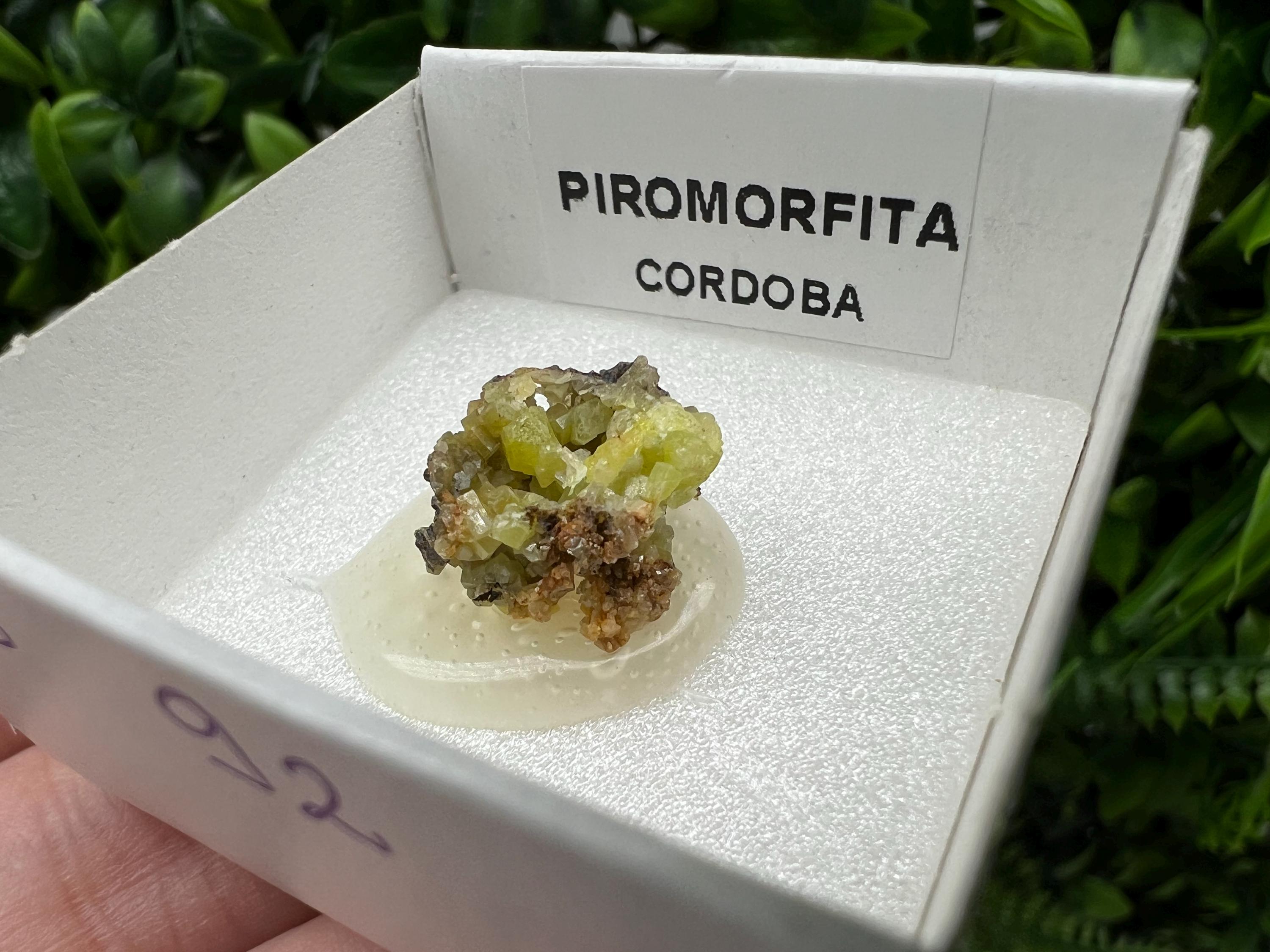 Pyromorphite Stone / Pyromorphite on Matrix / Pyromorphite Crystal / Raw Crystal / Pyromorphite Cluster / Rough Pyromorphite / Pyromorphite