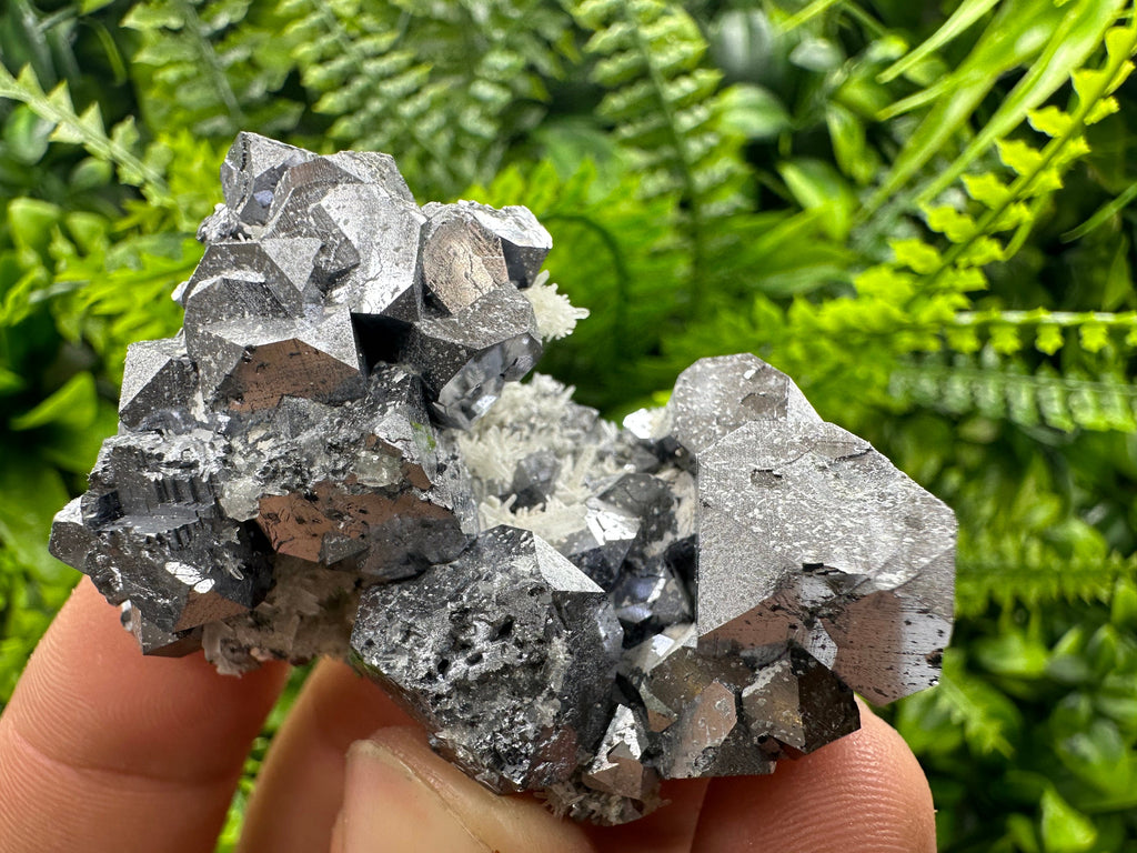 Shiny Galena on Quartz, Borieva Mine, Bulgaria