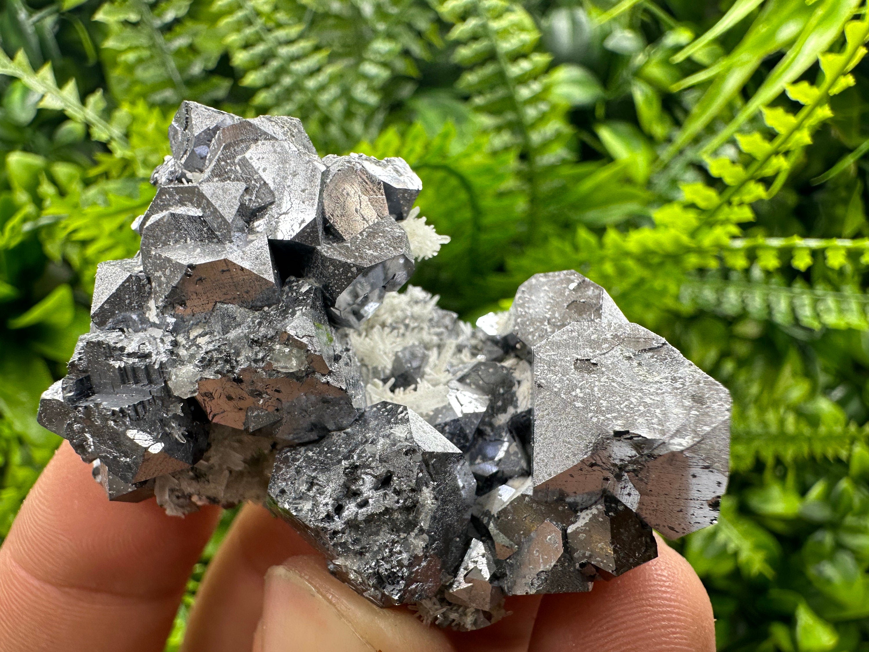 Shiny Galena on Quartz, Borieva Mine, Bulgaria