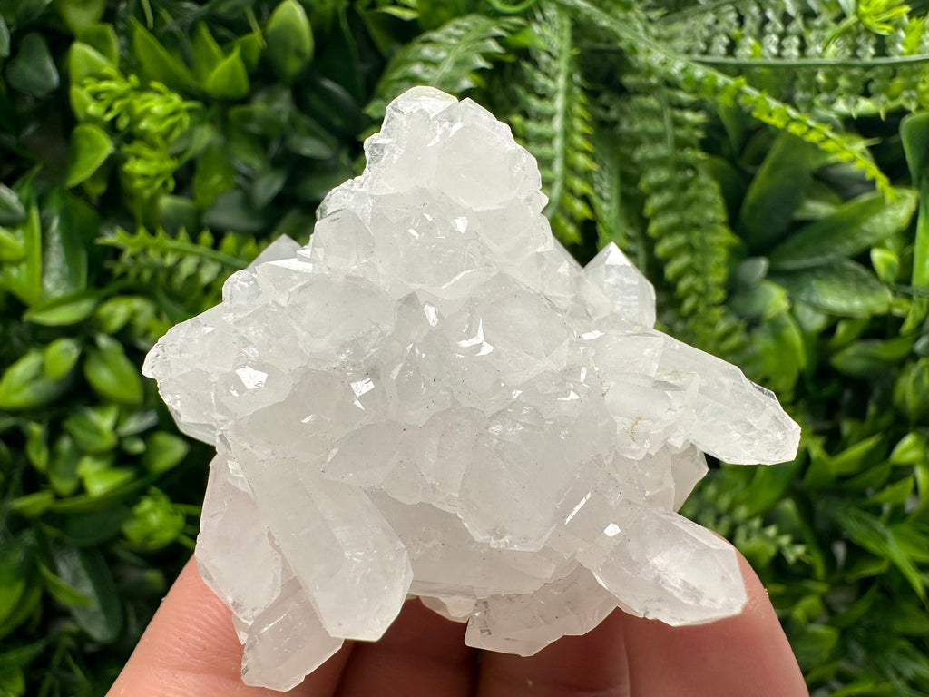 Sparkly Quartz Cluster, Androvo Mine Mineral Specimen