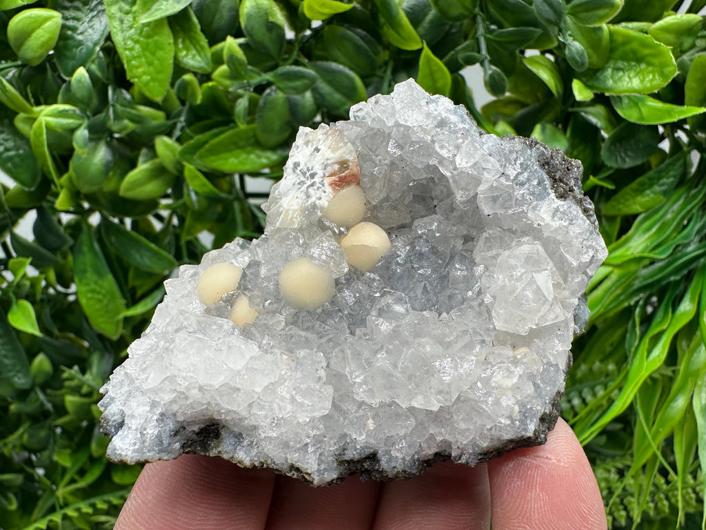 Transparent Apophyllite on Chalcedony, India Mineral Specimen