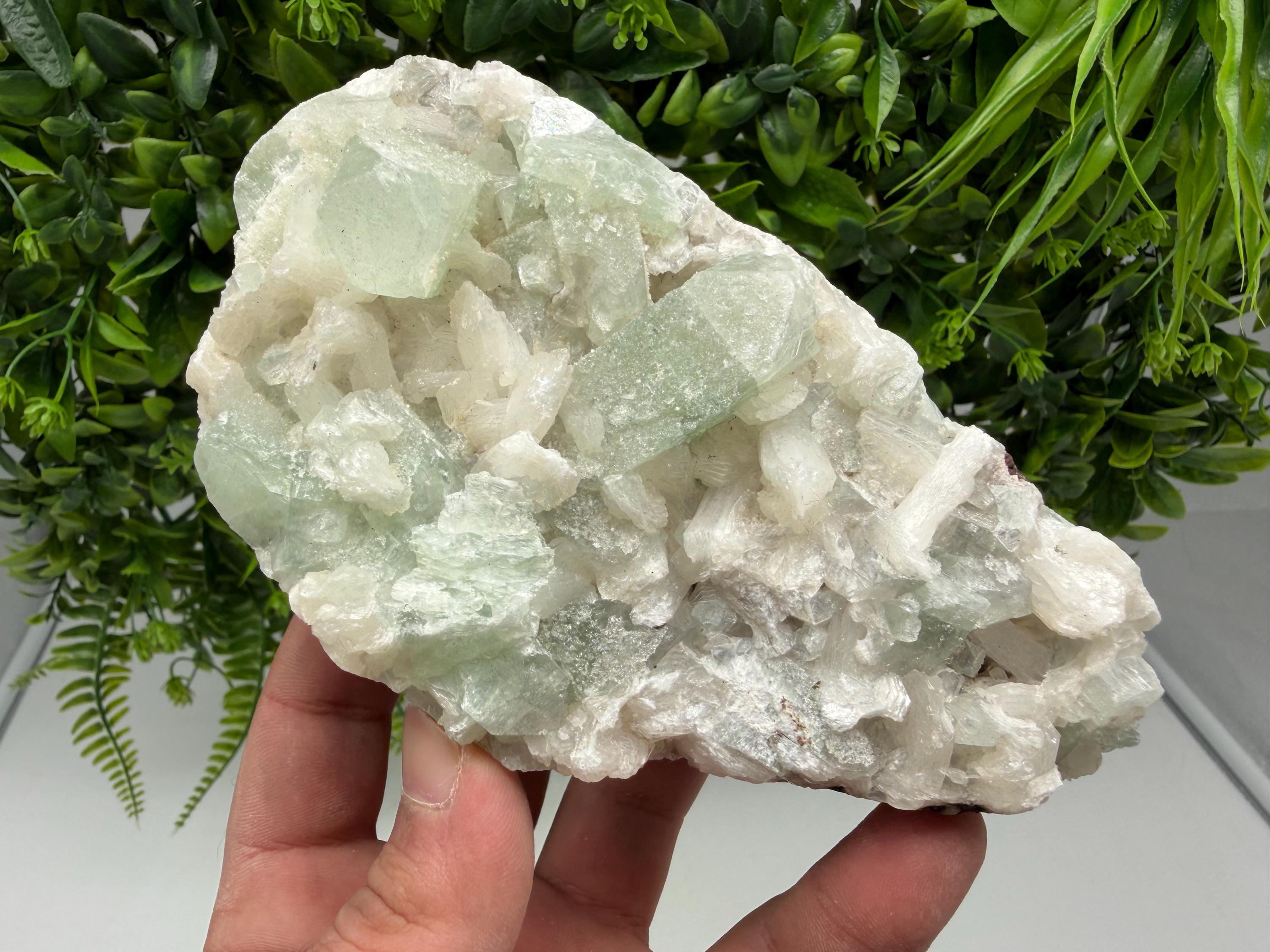 Green Apophyllite with Stilbite, India Crystal Specimen