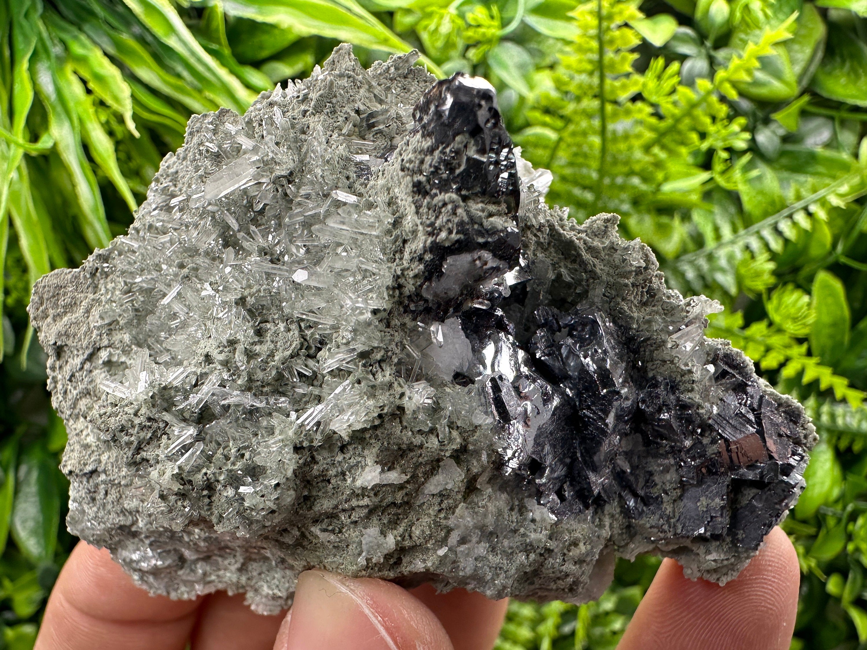Galena Sphalerite on Quartz, Borieva Mine Mineral Specimen