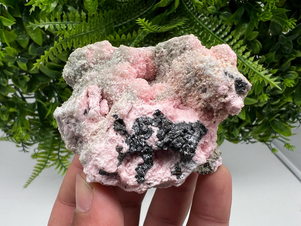 RARE Rhodochrosite with Calcite, Starnica Mine, Bulgaria