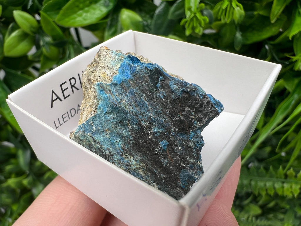 Rare Raw Aerinite Mineral Specimen: Lleida, Spain Collection Crystal