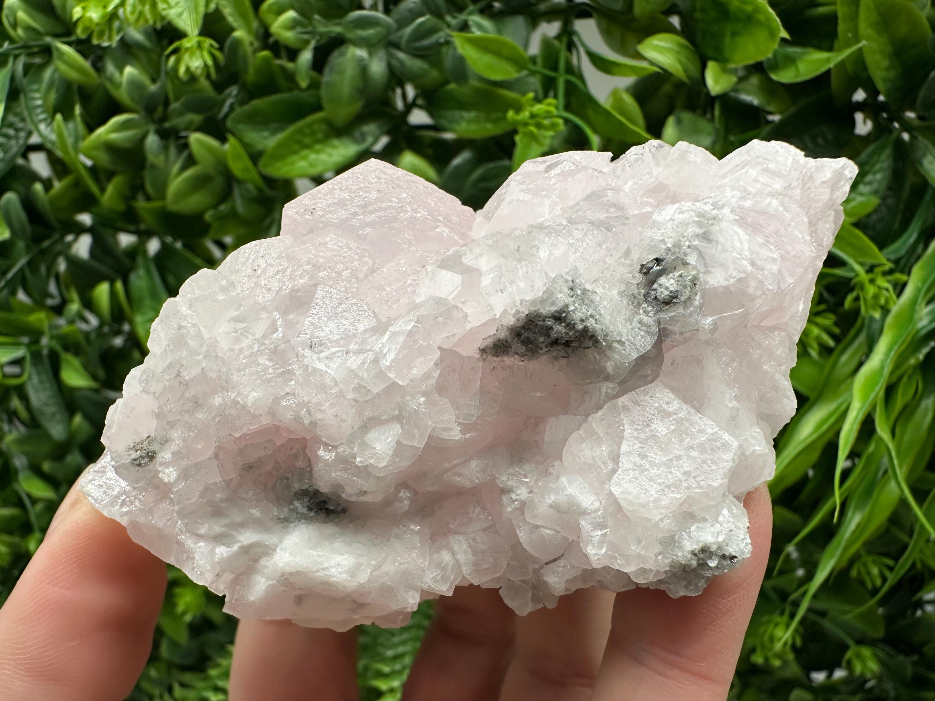 Mangano Calcite with Galena, Borieva Mine, Bulgaria