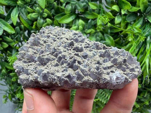 Chala Mine Amethyst Phantom Cluster, Bulgaria Crystal Specimen