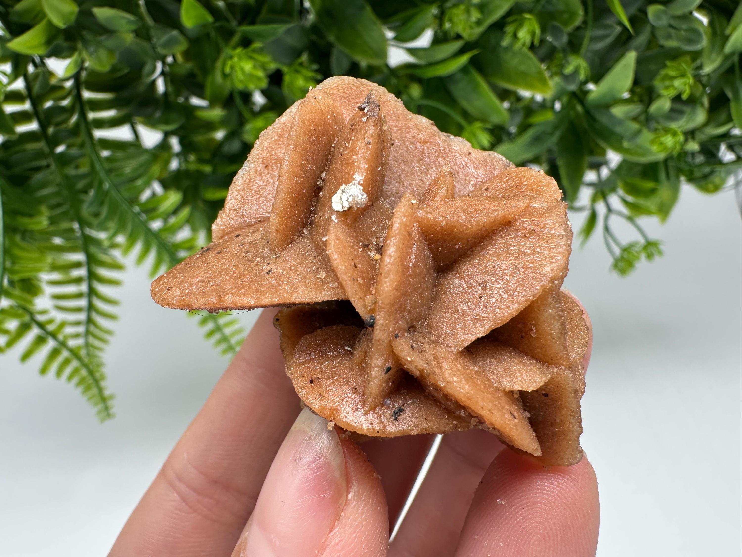 Natural Desert Rose Crystal – Root Chakra Selenite Stone, Home Decor