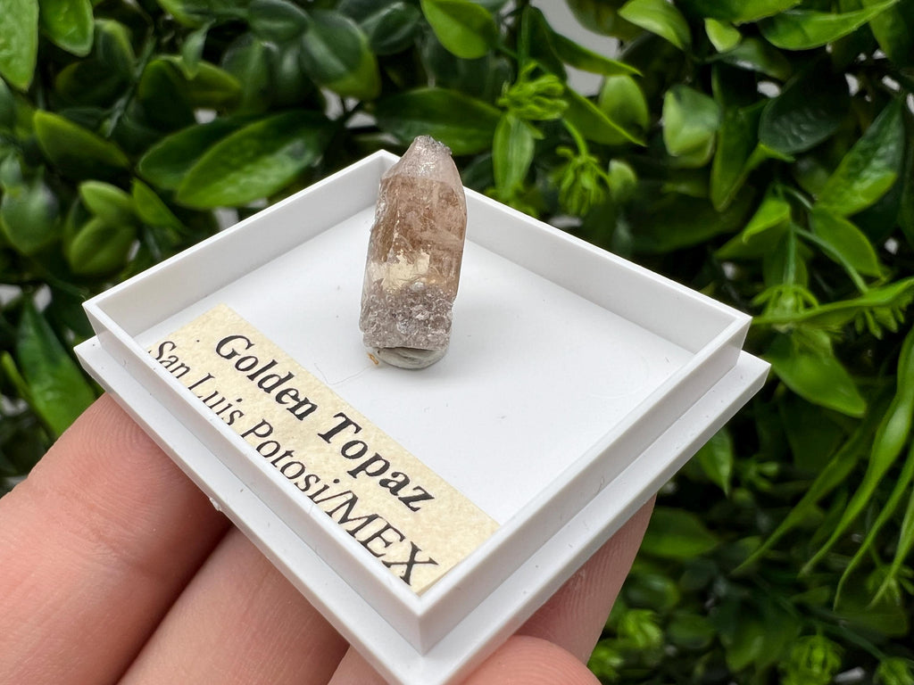 Beautiful Golden Topaz from Mexico,collection piece Crystal,Mineral,collectibles,Collectors, Natural Crystal, Minerals from Mexico,original,