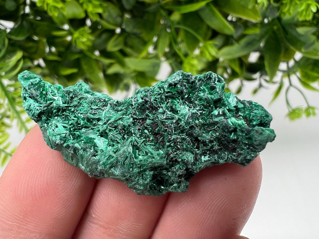 Malachite Crystal from Congo,Minerals,Crystals from Congo,Green Malachite, Malachite,Natural Malachite,Malachite Stone,Chakra, Specimens
