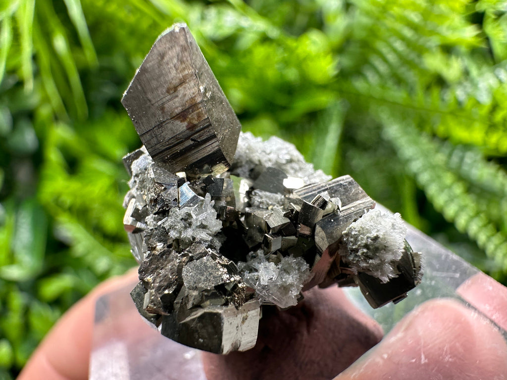 Golden Pyrite Cluster, Natural Crystal Mineral Souvenir