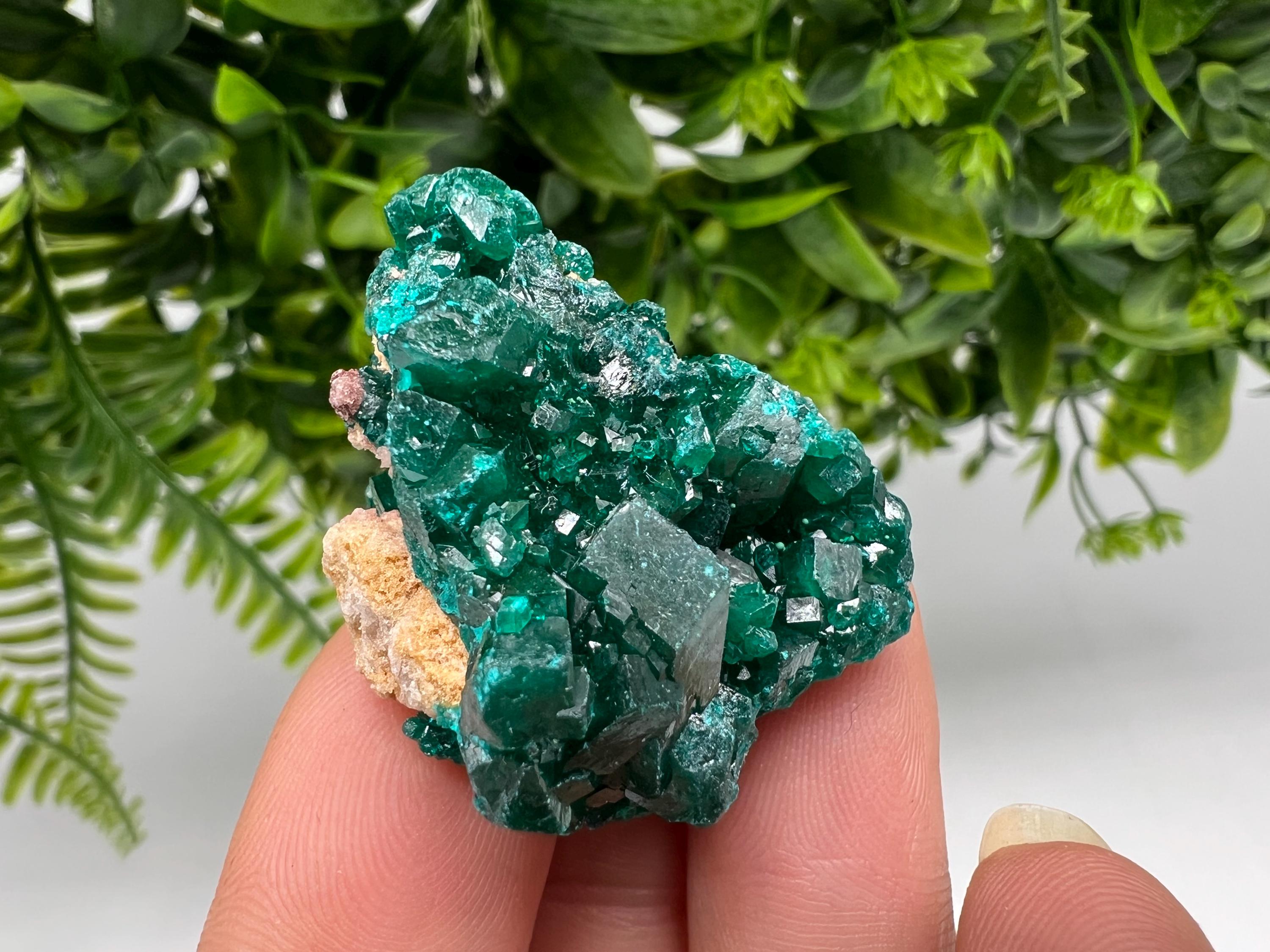 Stunning Green Dioptase from Sanda Hills,Mindouli,Pool Department,Mindouli District,Congo,green Dioptase,Dioptas Crystal,Dioptase collecting