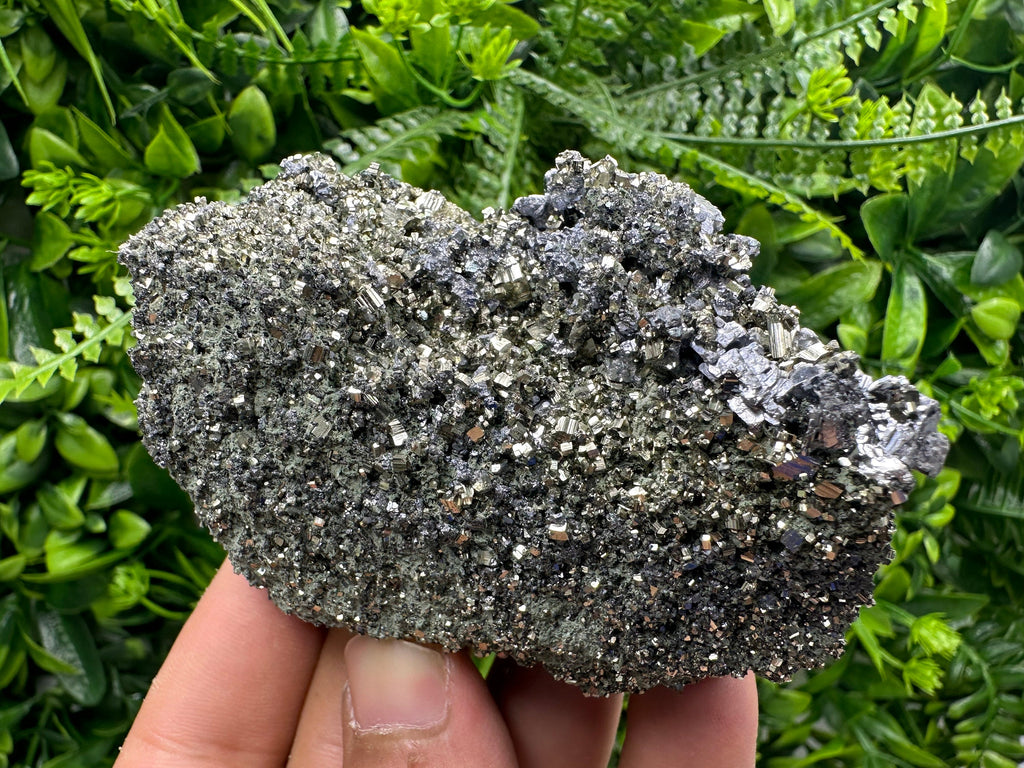 Galena on Pyrite Specimen: Borieva Mine, Bulgaria