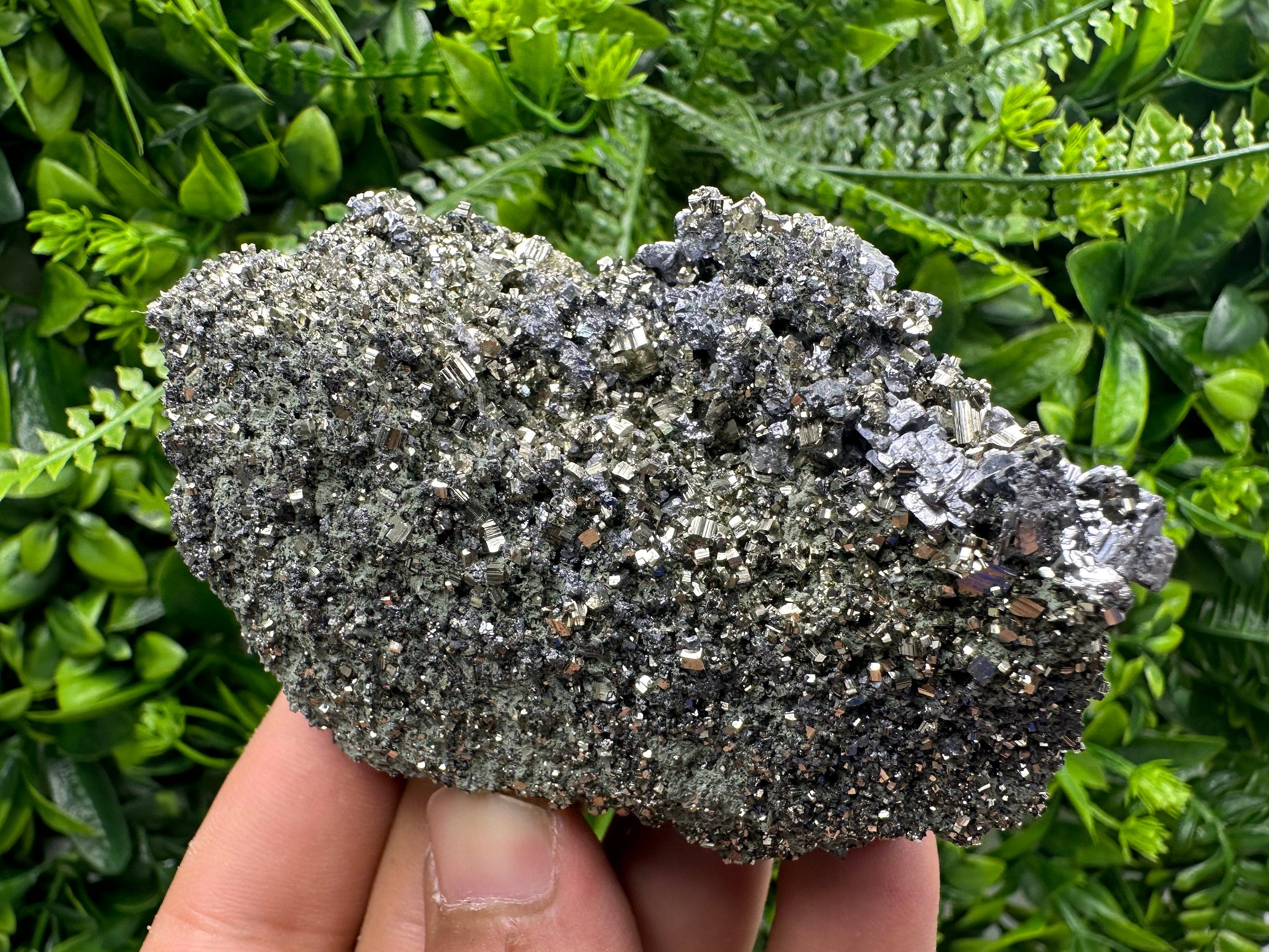 Galena on Pyrite Specimen: Borieva Mine, Bulgaria