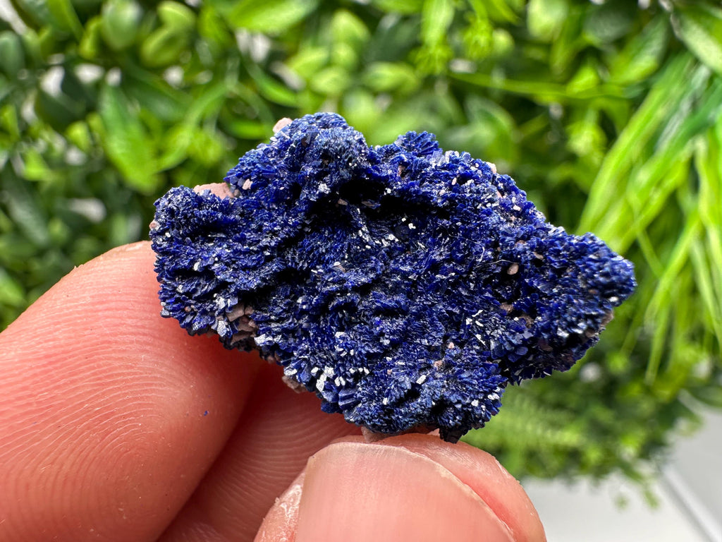Crystallized Azurite-Kerrouchen,Morocco-Blue Azurite Specimen-High Quality Blue Azurite-Azurite Mineral Specimen, gemmy,lustrous of Azurite