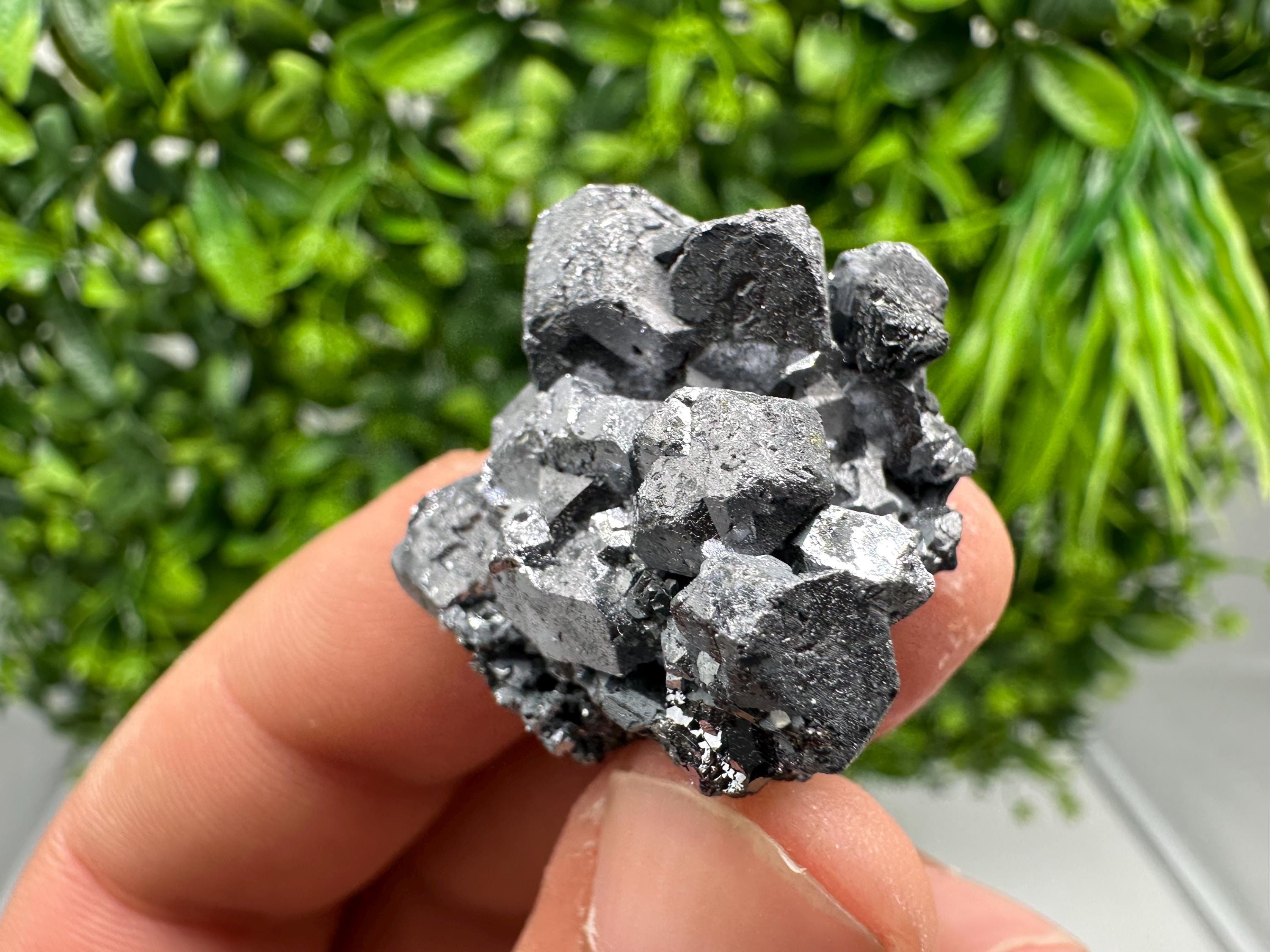 Shiny Galena Cluster: Borieva Mine, Bulgaria - Natural Mineral Stone