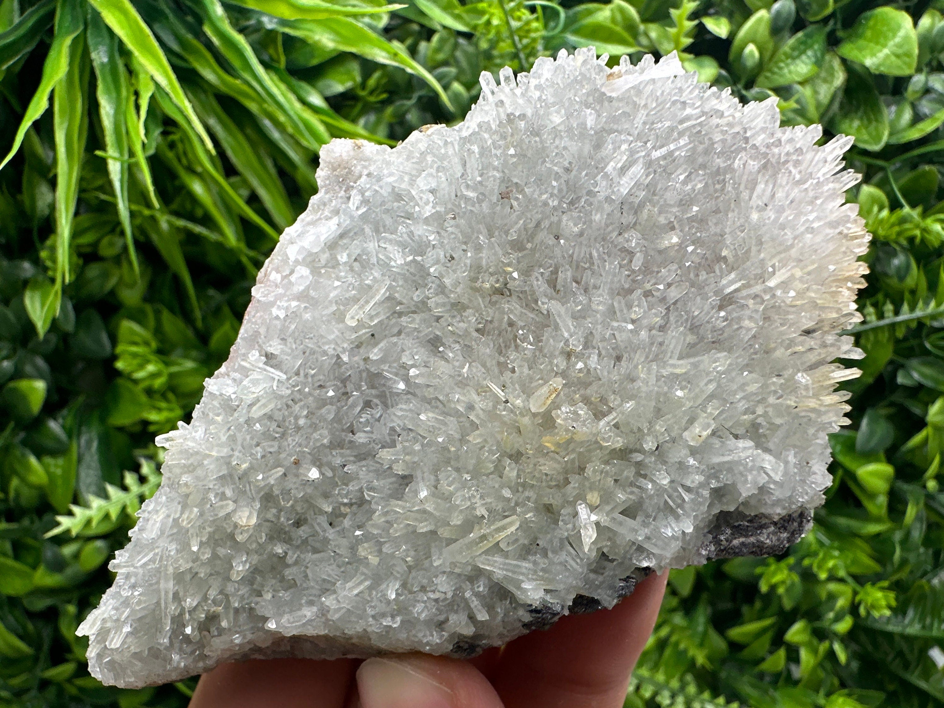 Chlorite Quartz Crystal with Hematite Inclusions - Borieva Mine Bulgaria
