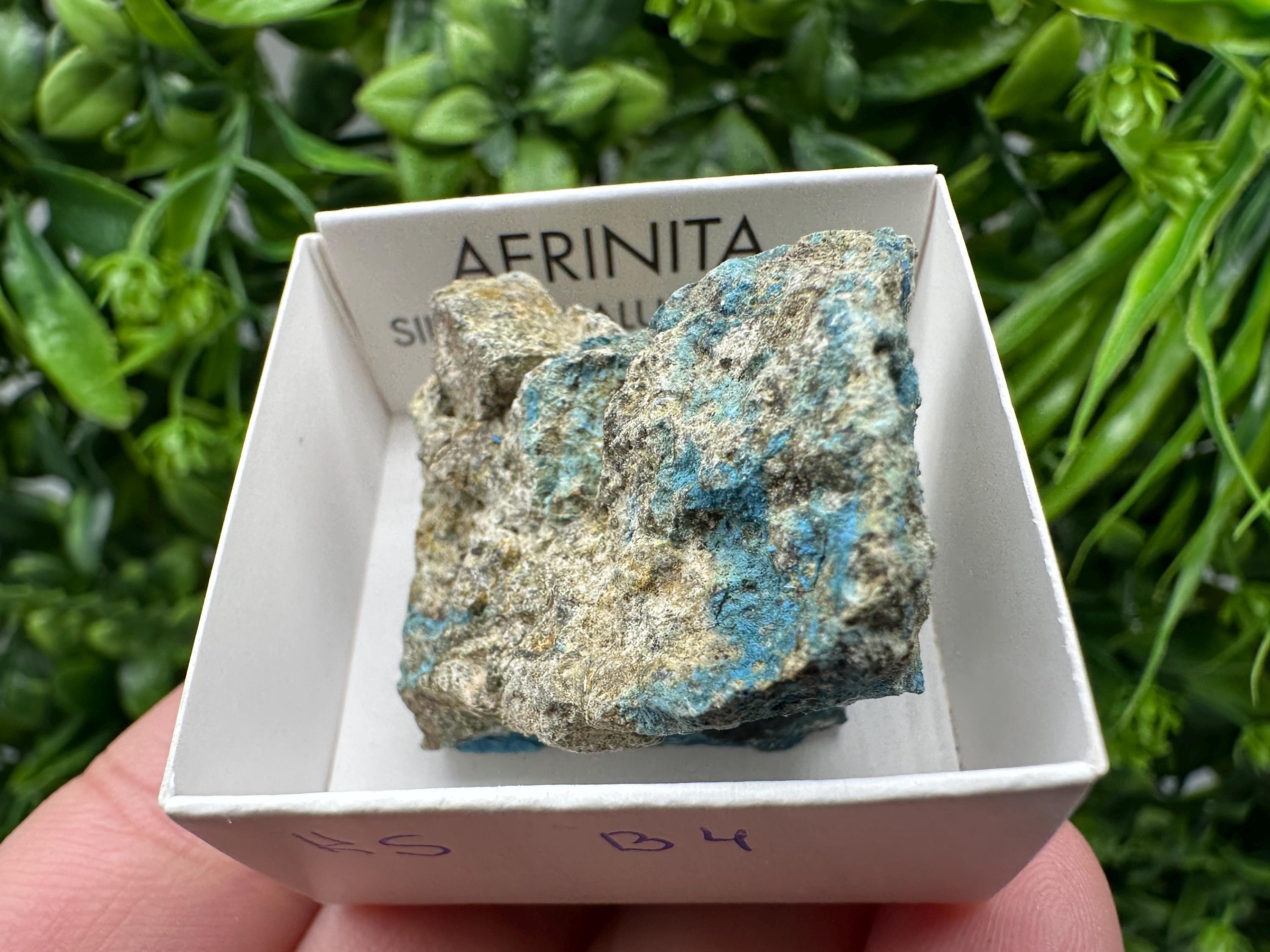 Rare Raw Aerinite Mineral Specimen: Lleida, Spain Crystal
