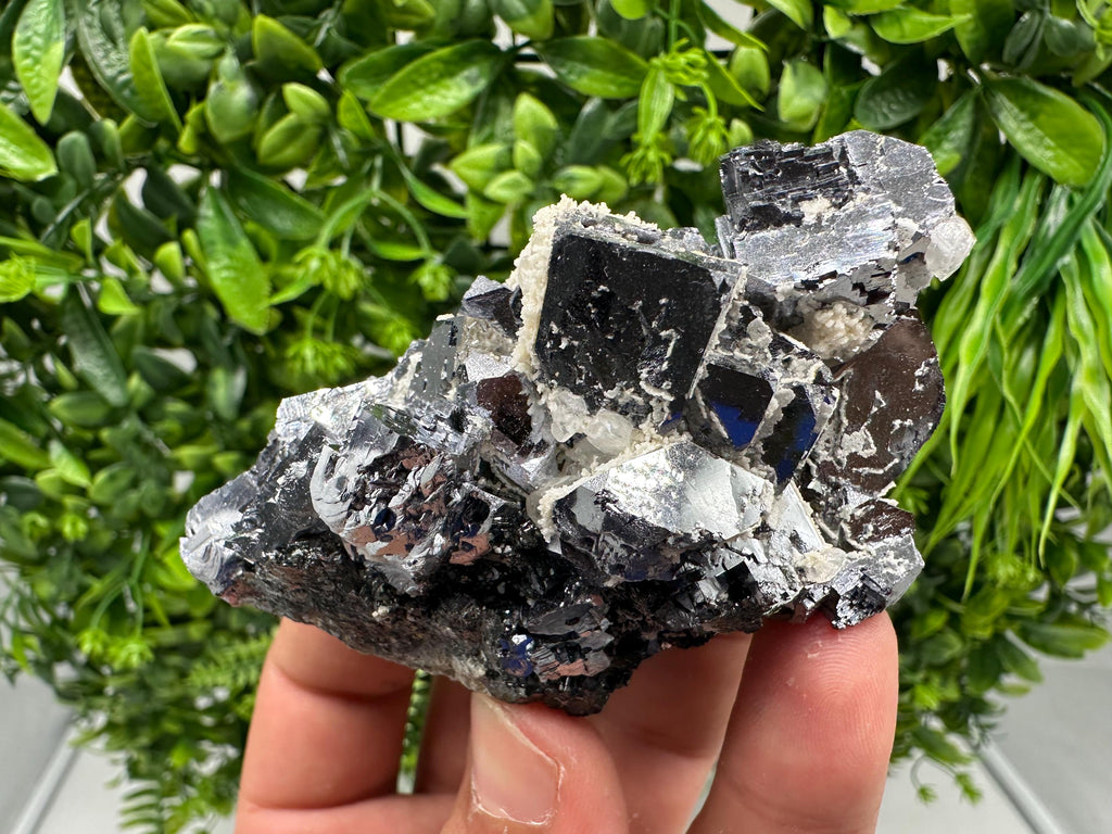 Rare Mirror Galena Cubes: Marzyan Mine, Bulgaria