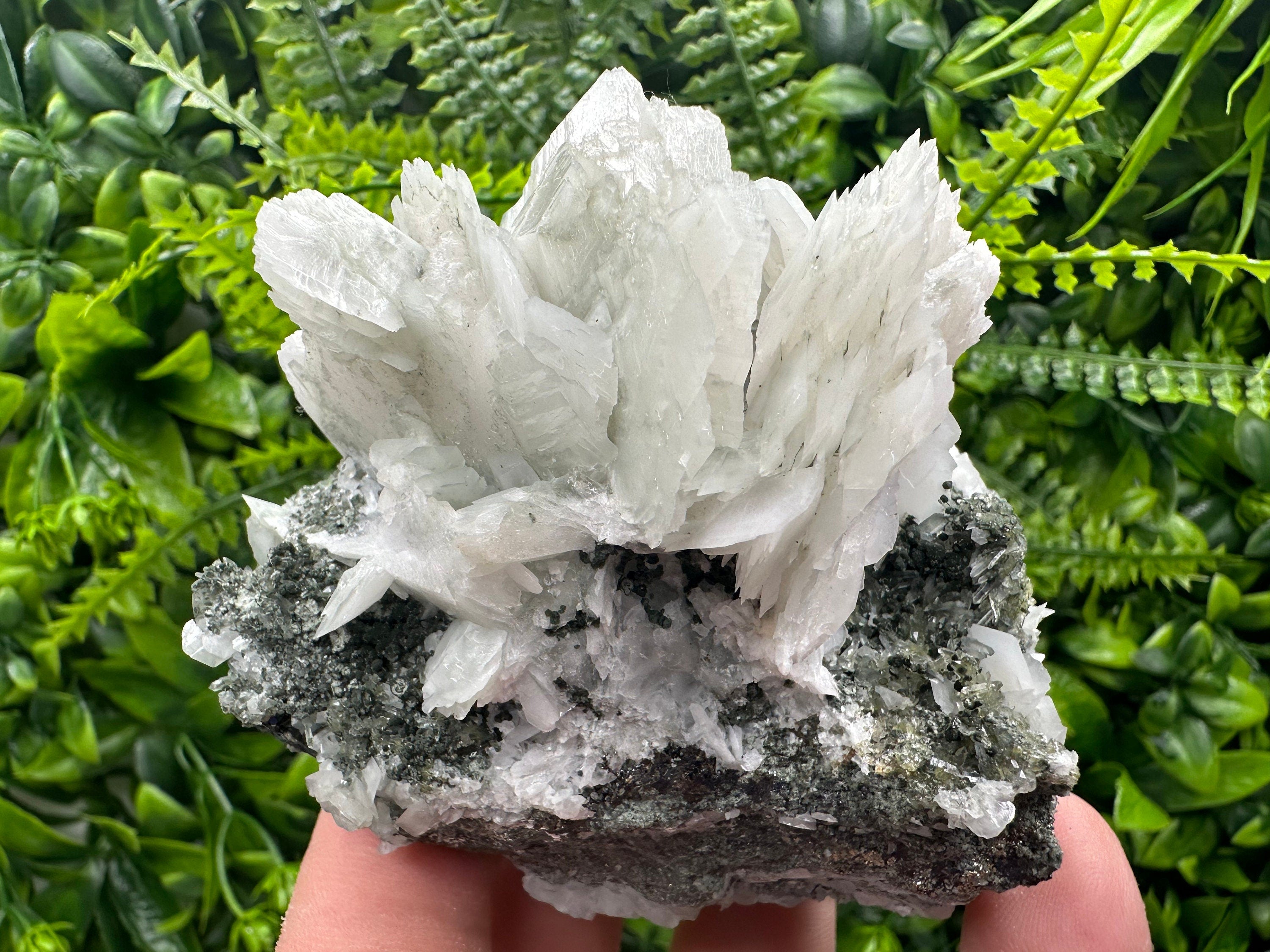 Calcite on Quartz with Epidote Mineral Specimen: Borieva Mine, Bulgaria
