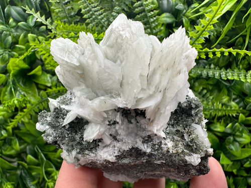 Calcite on Quartz with Epidote Mineral Specimen: Borieva Mine, Bulgaria