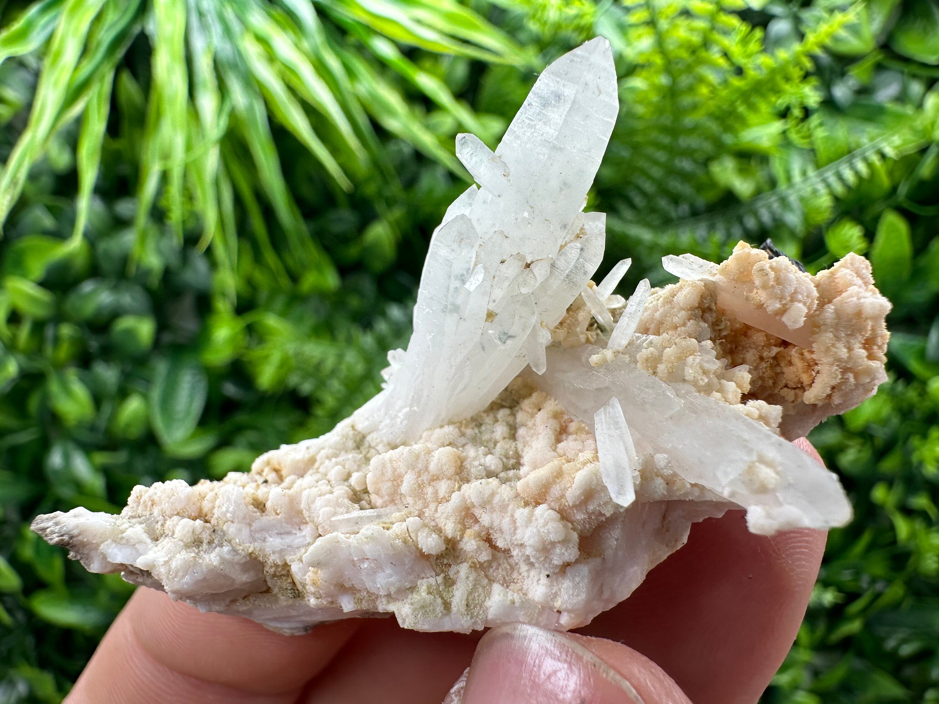 Quartz with Chlorite, Rhodochrosite & Siderite Mineral Specimen