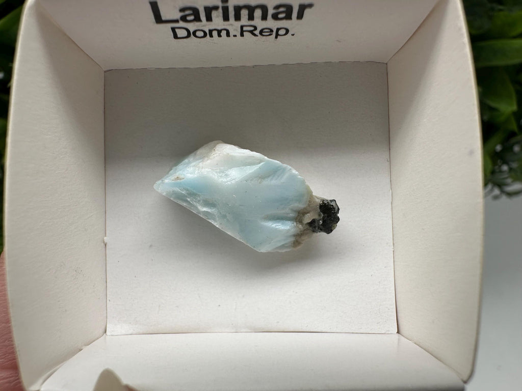 Rare Raw Larimar Specimen: Dominican Republic Crystal BOX 4/4 cm