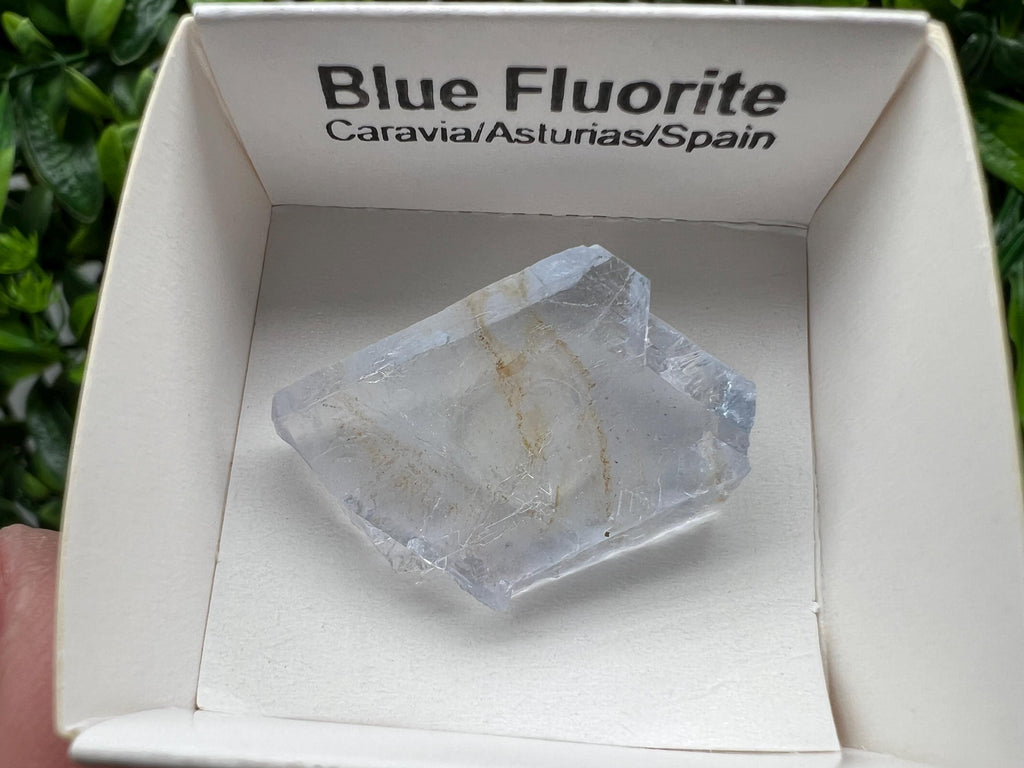 Blue Fluorite Mineral Specimen: Spain Collection (3/2 cm