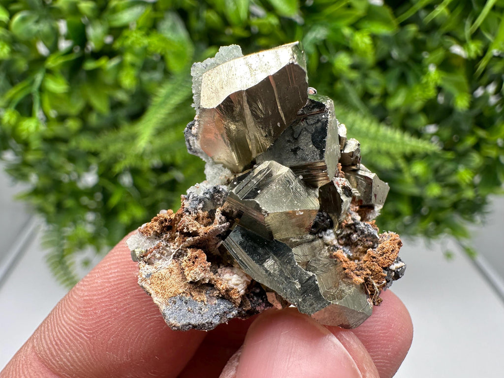 Golden Pyrite,Sphalerite from 9th September mine,Madan,Bulgaria,natural,collectible mineral specimen,home decor crystal,Pyrite cluster,