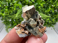 Golden Pyrite,Sphalerite from 9th September mine,Madan,Bulgaria,natural,collectible mineral specimen,home decor crystal,Pyrite cluster,
